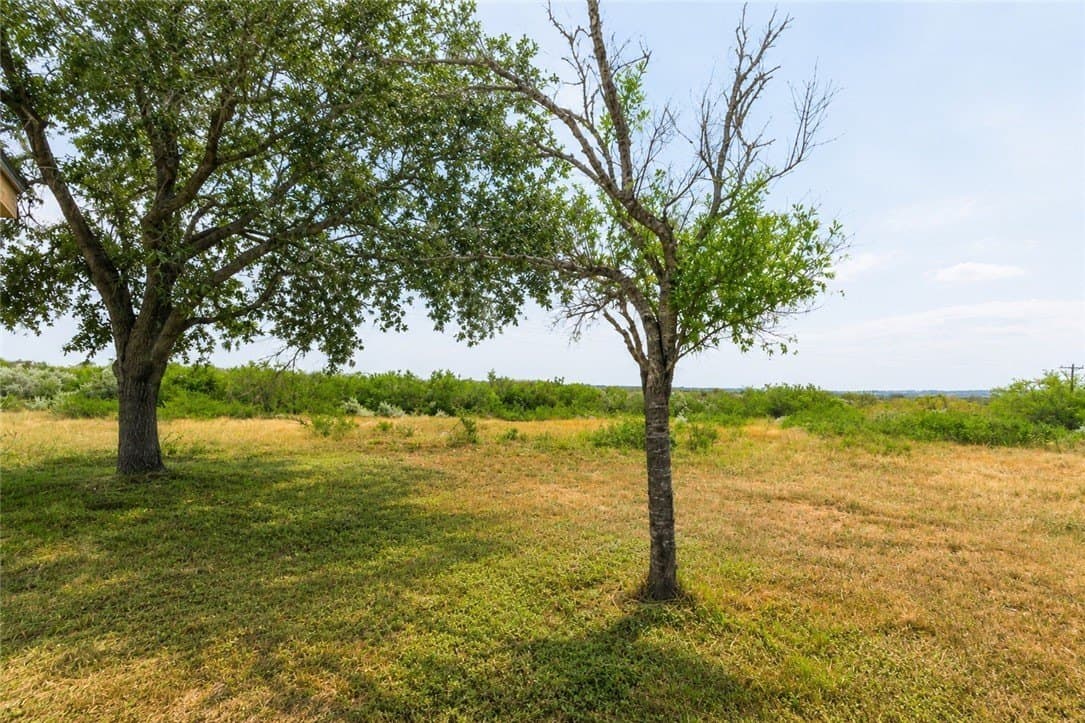 10 acres in Jim Wells County - photo 15