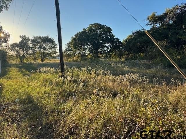 7.5 acres in Henderson County gallery image 3