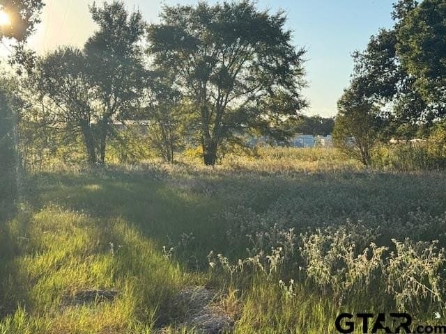 7.5 acres in Henderson County gallery image 2