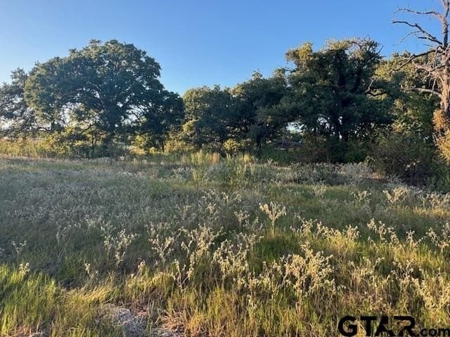 7.5 acres in Henderson County gallery image 4