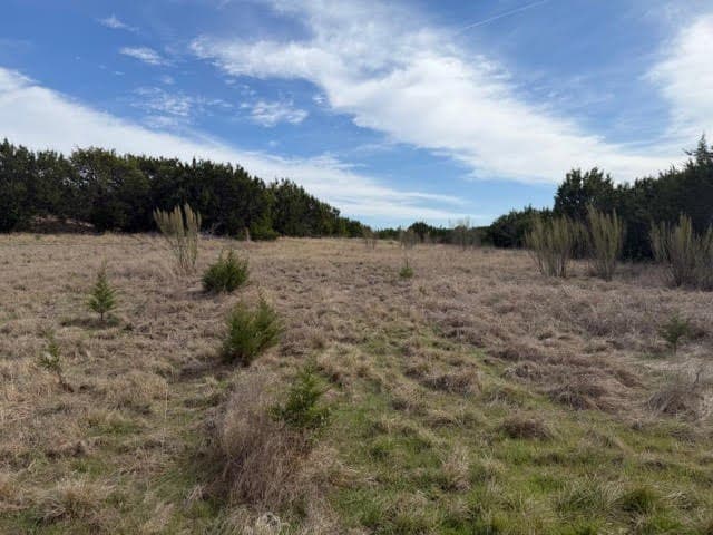 5 acres in Palo Pinto County - photo 11