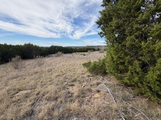 5 acres in Palo Pinto County - photo 7