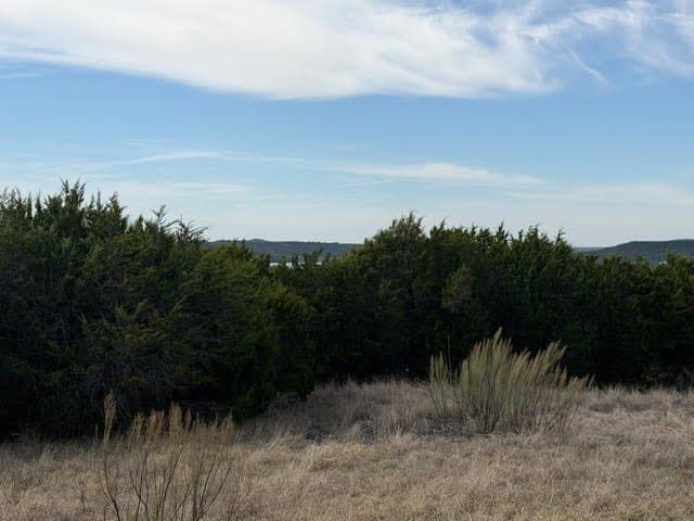5 acres in Palo Pinto County - photo 8