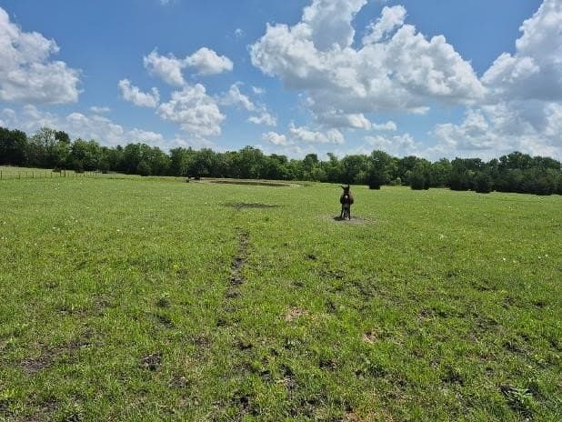 10 acres in Hunt County gallery image 3