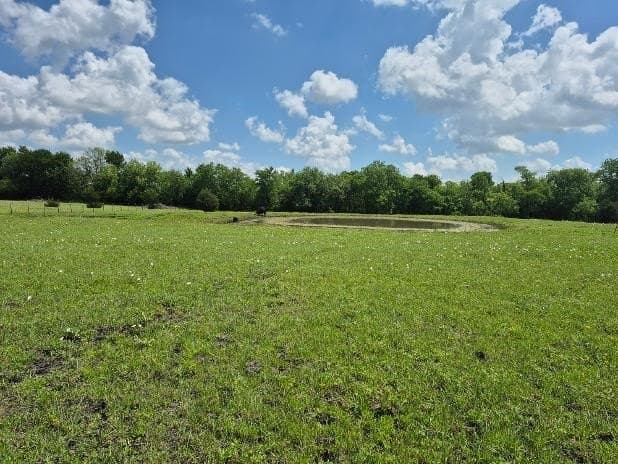 10 acres in Hunt County gallery image 2