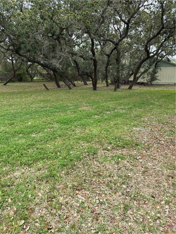 0.32 acres in San Patricio County gallery image 3