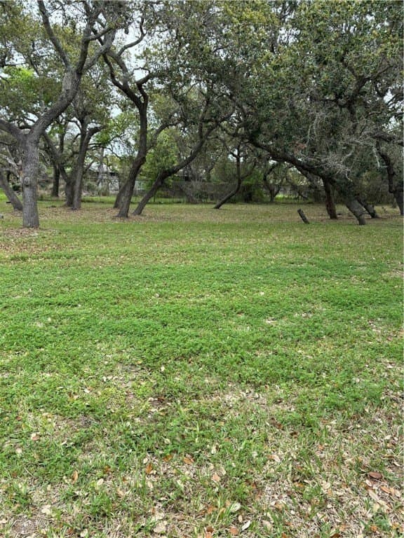 0.32 acres in San Patricio County gallery image 2