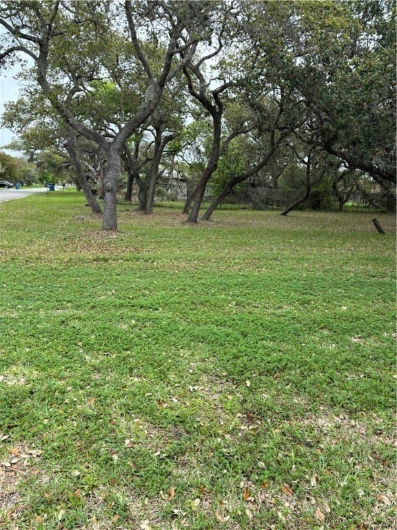 0.32 acres in San Patricio County gallery image 4