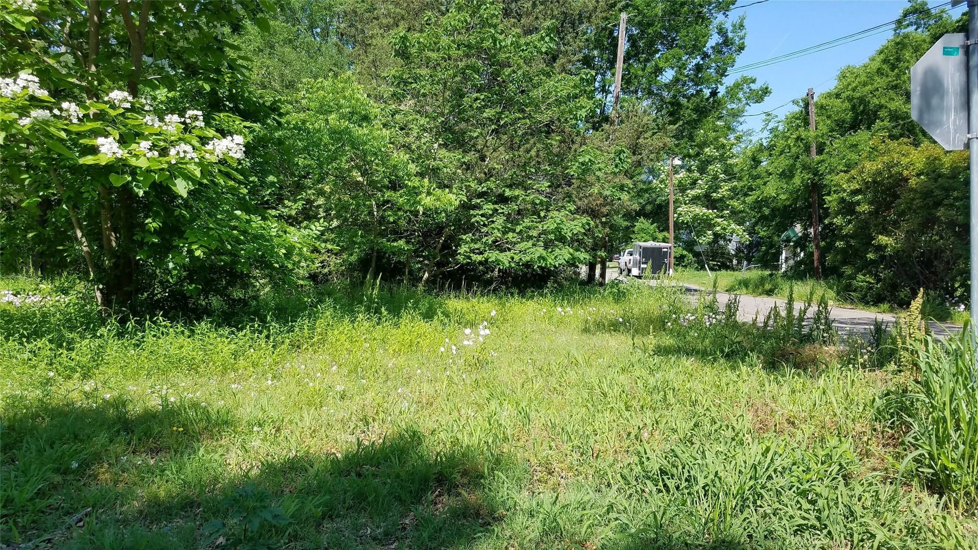 0.21 acres in Fannin County gallery image 3