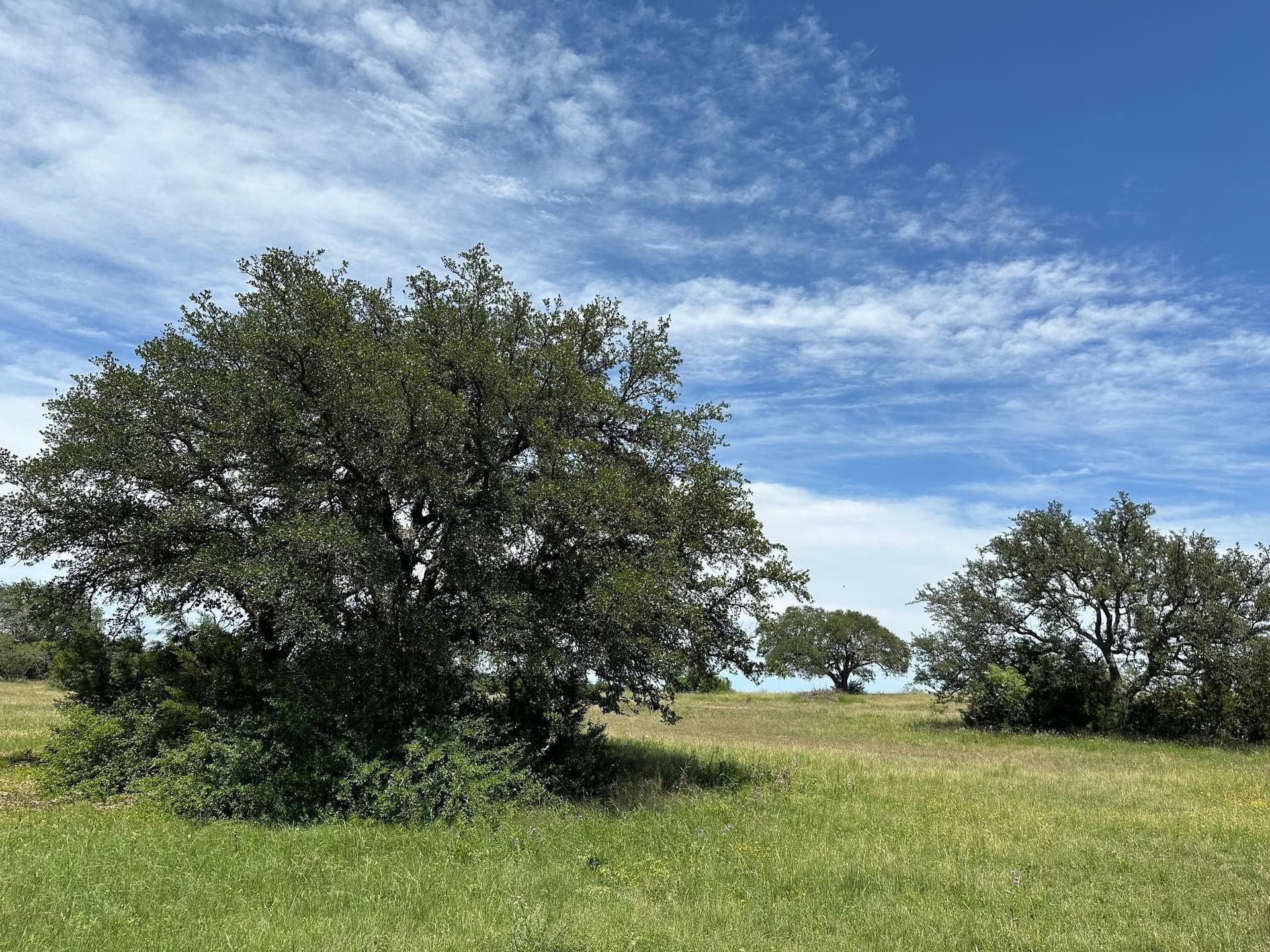 23 acres in Burnet County - photo 7