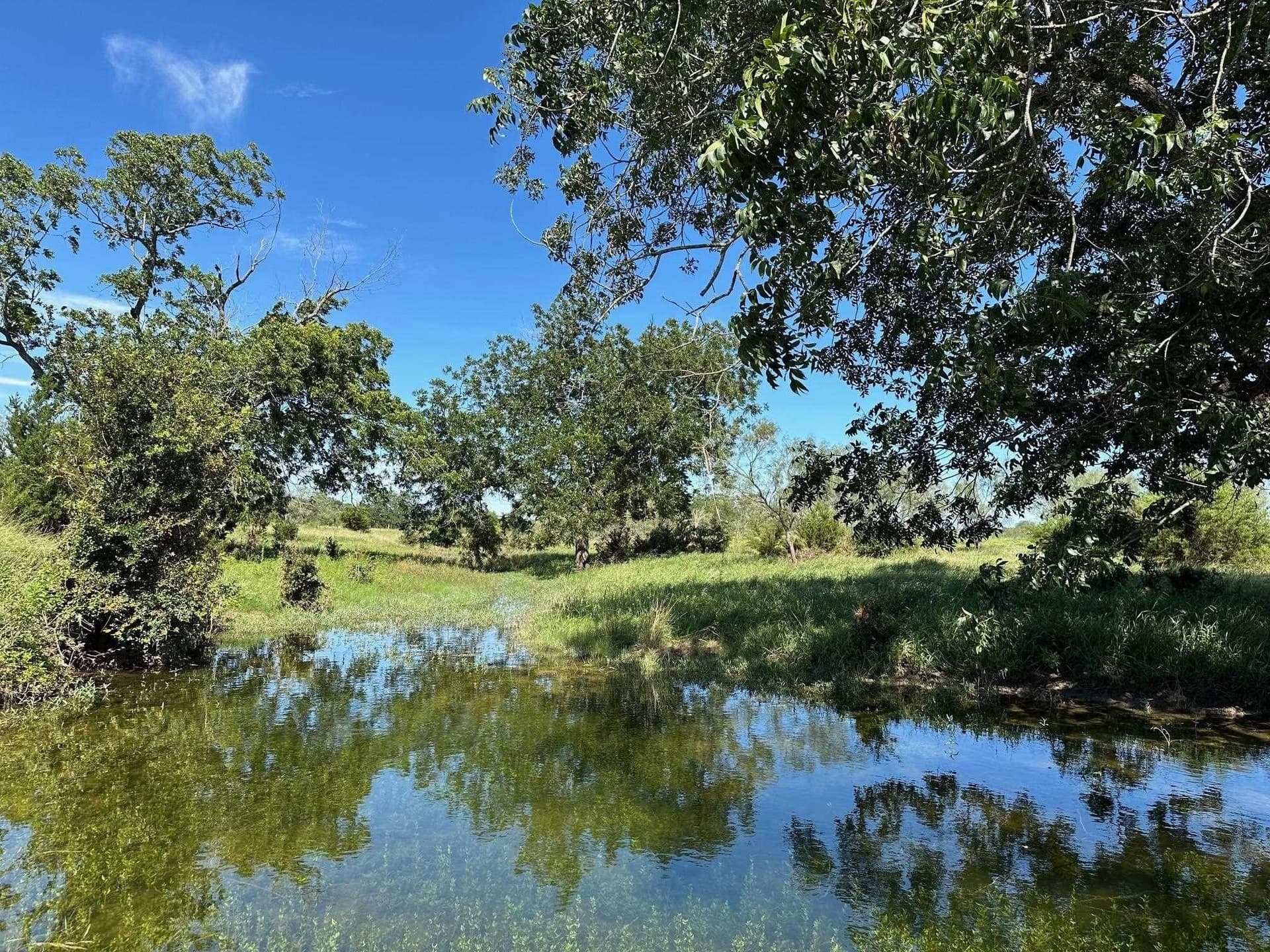 23 acres in Burnet County gallery image 2