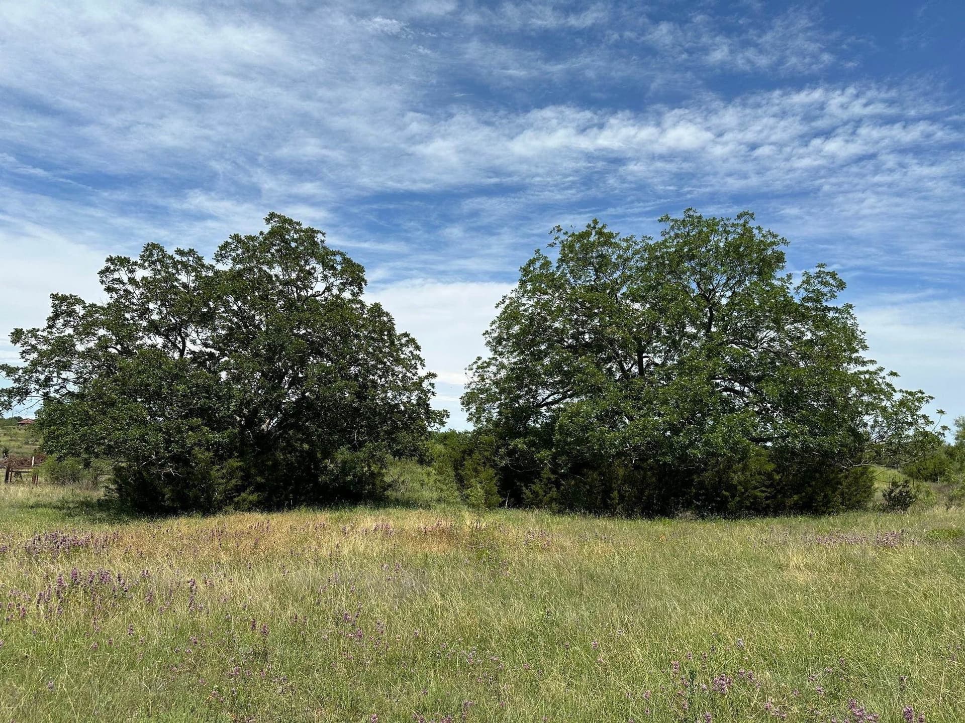 23 acres in Burnet County - photo 8