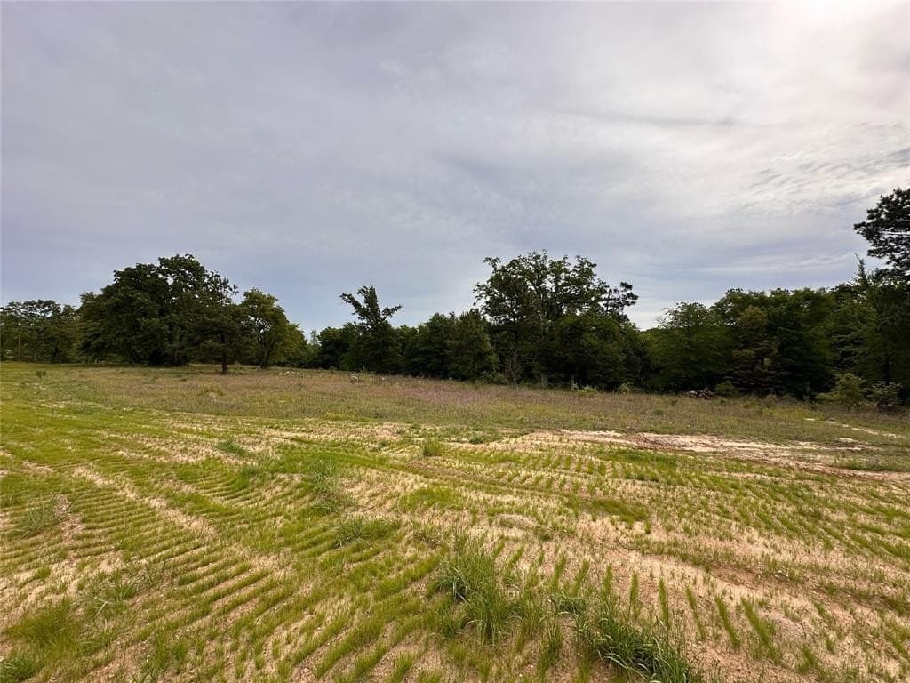 0.59 acres in Smith County gallery image 3