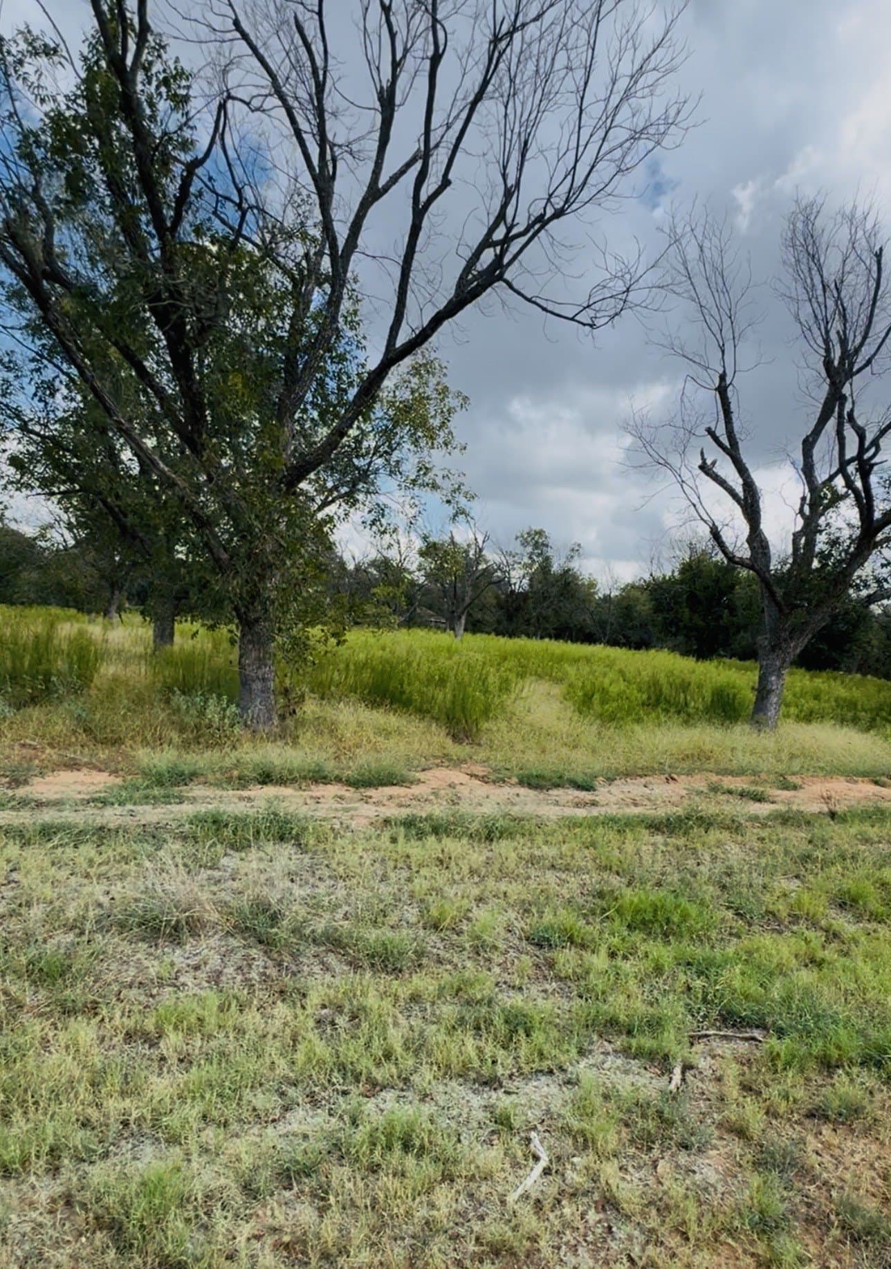 2.46 acres in Hood County gallery image 2