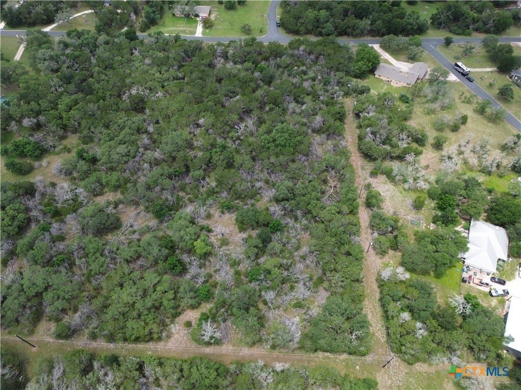 2.25 acres in Bell County gallery image 4