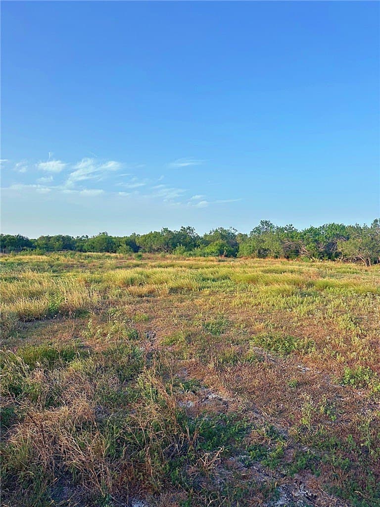 100,000 acres in McMullen County - photo 4