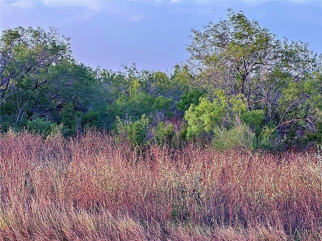 100,000 acres in McMullen County - photo 6