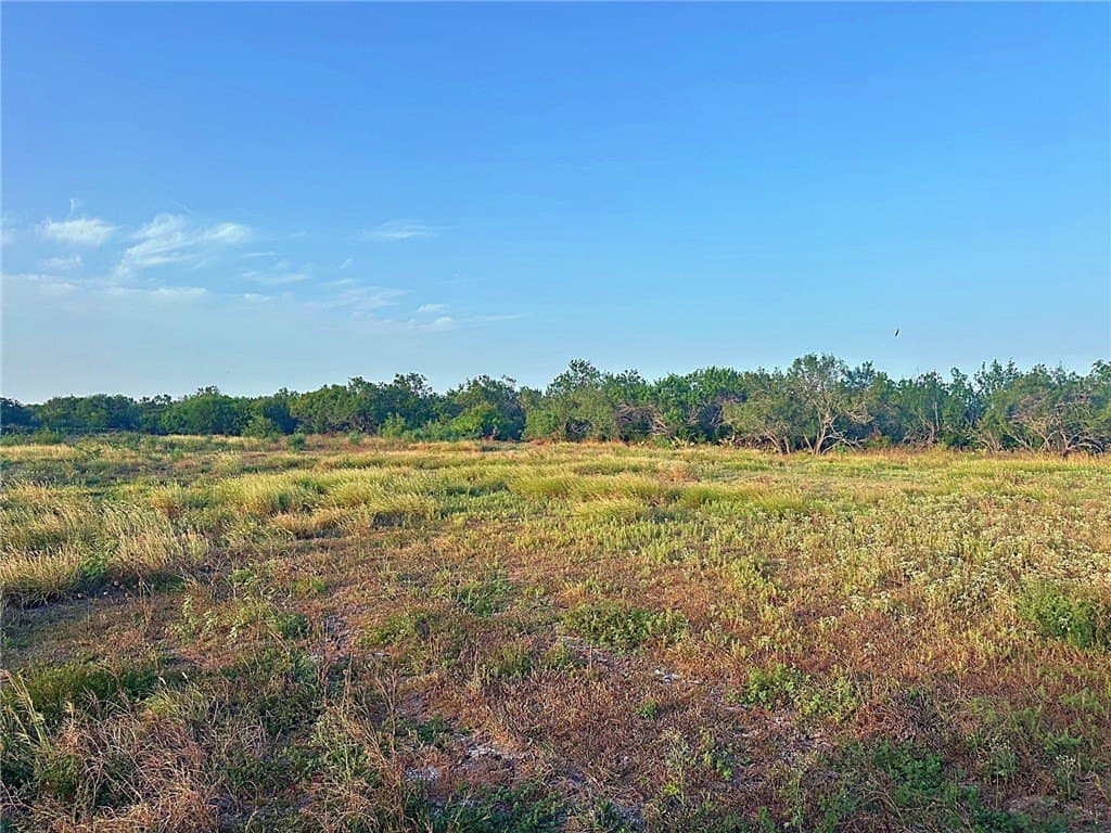 100,000 acres in McMullen County - photo 3