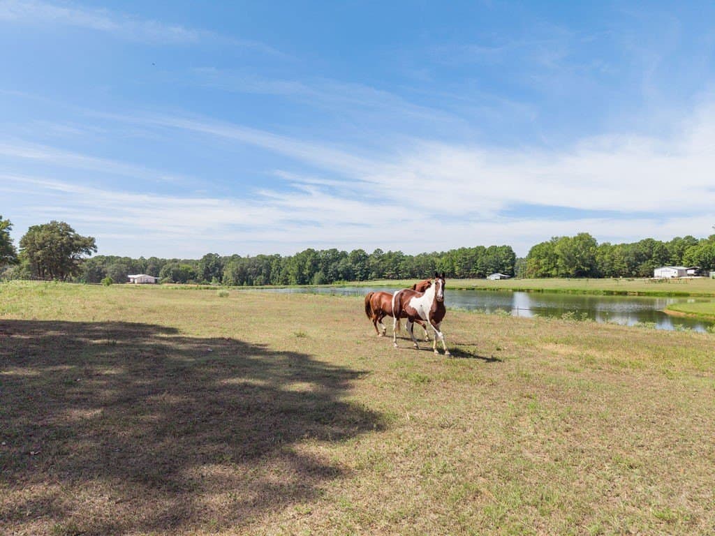 10 acres in Smith County - photo 36