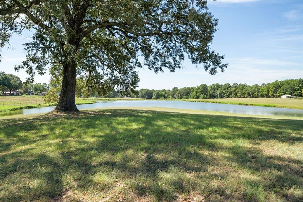 10 acres in Smith County - photo 34
