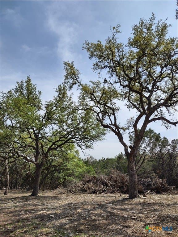 15.74 acres in Comal County gallery image 3