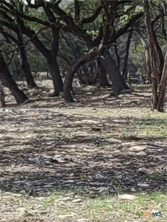 15.74 acres in Comal County gallery image 4
