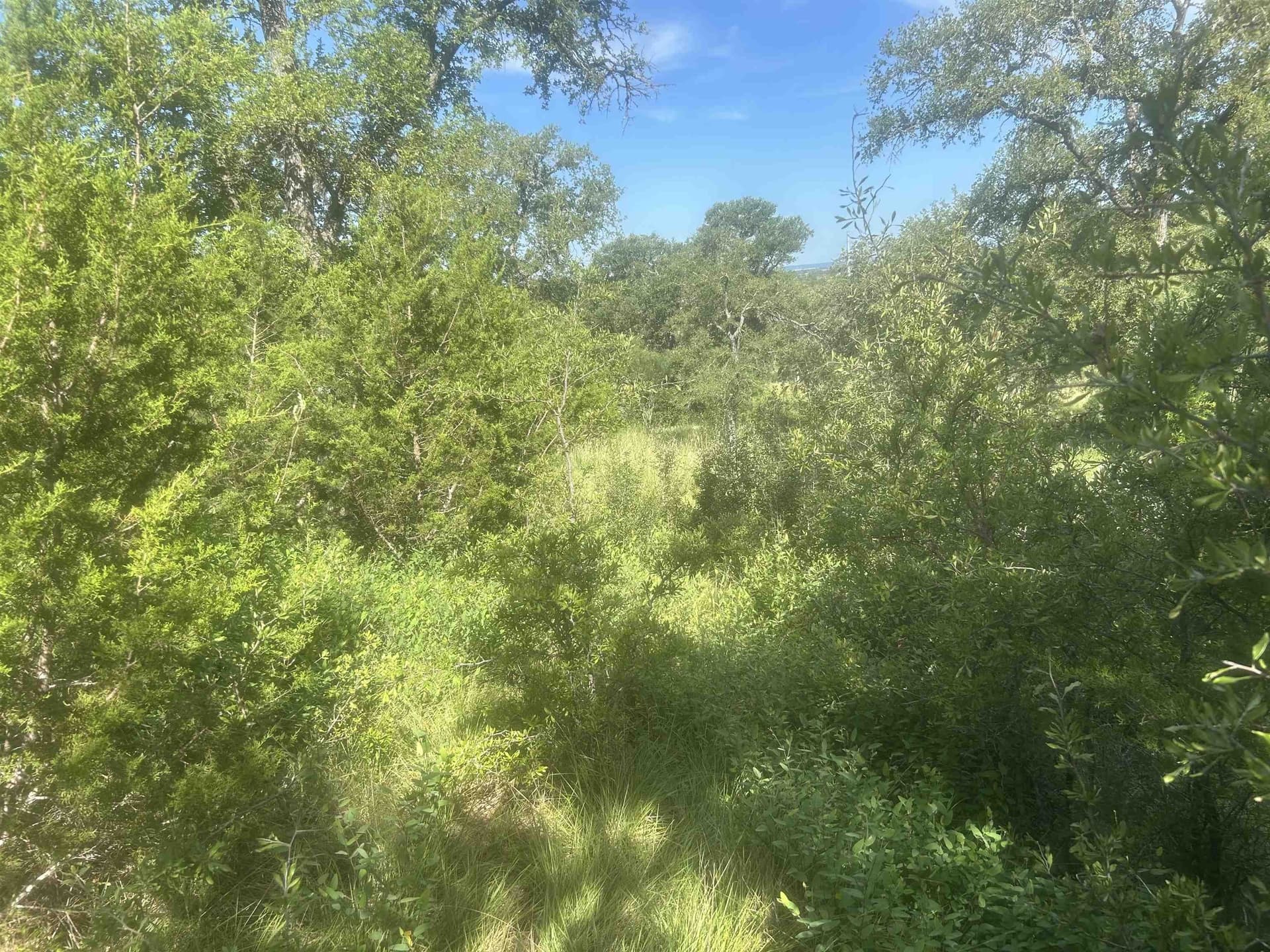 1.14 acres in Llano County gallery image 4