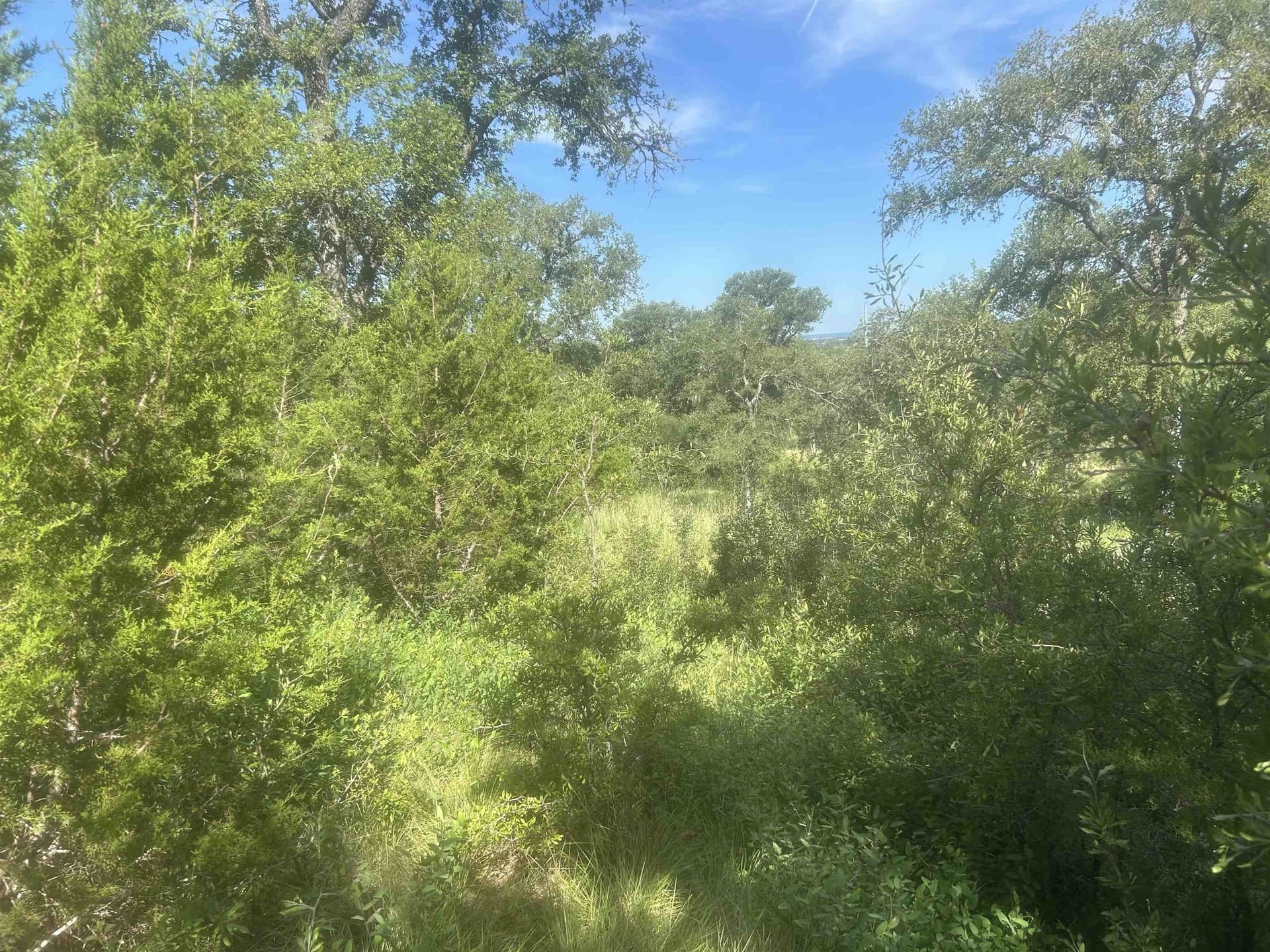 1.14 acres in Llano County featured view