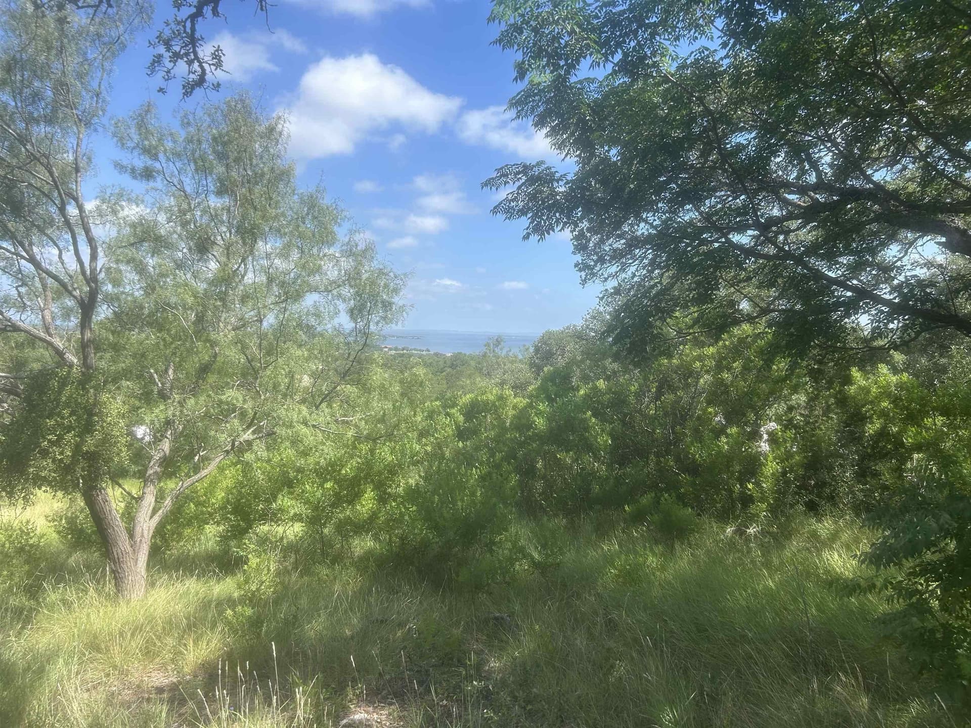 1.14 acres in Llano County - photo 21