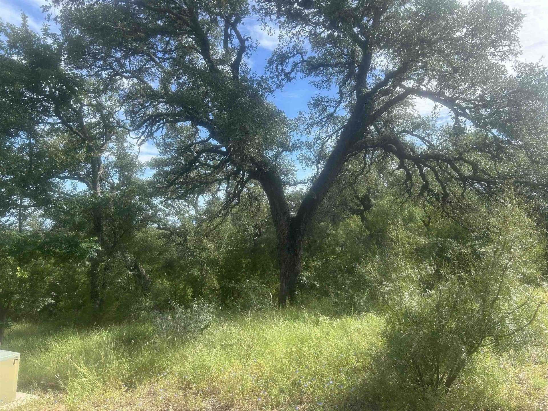 1.14 acres in Llano County - photo 13