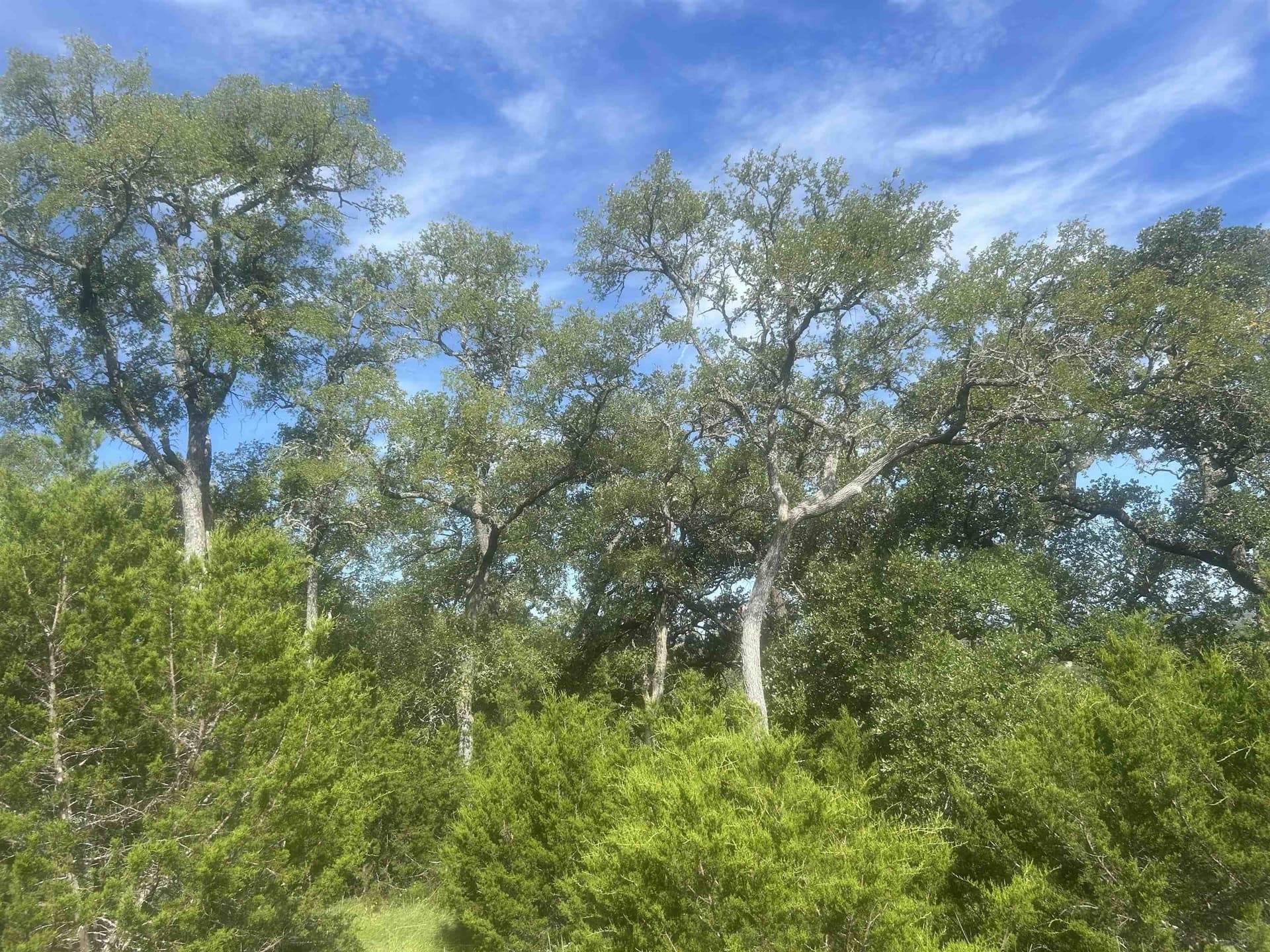 1.14 acres in Llano County - photo 6