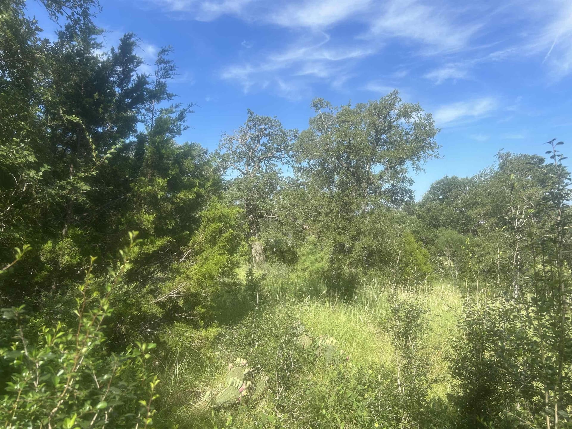 1.14 acres in Llano County gallery image 2