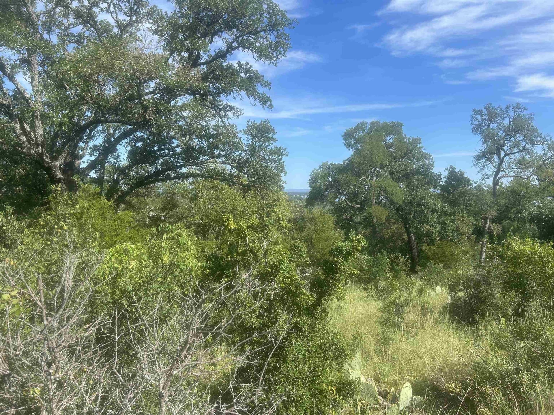 1.14 acres in Llano County - photo 9