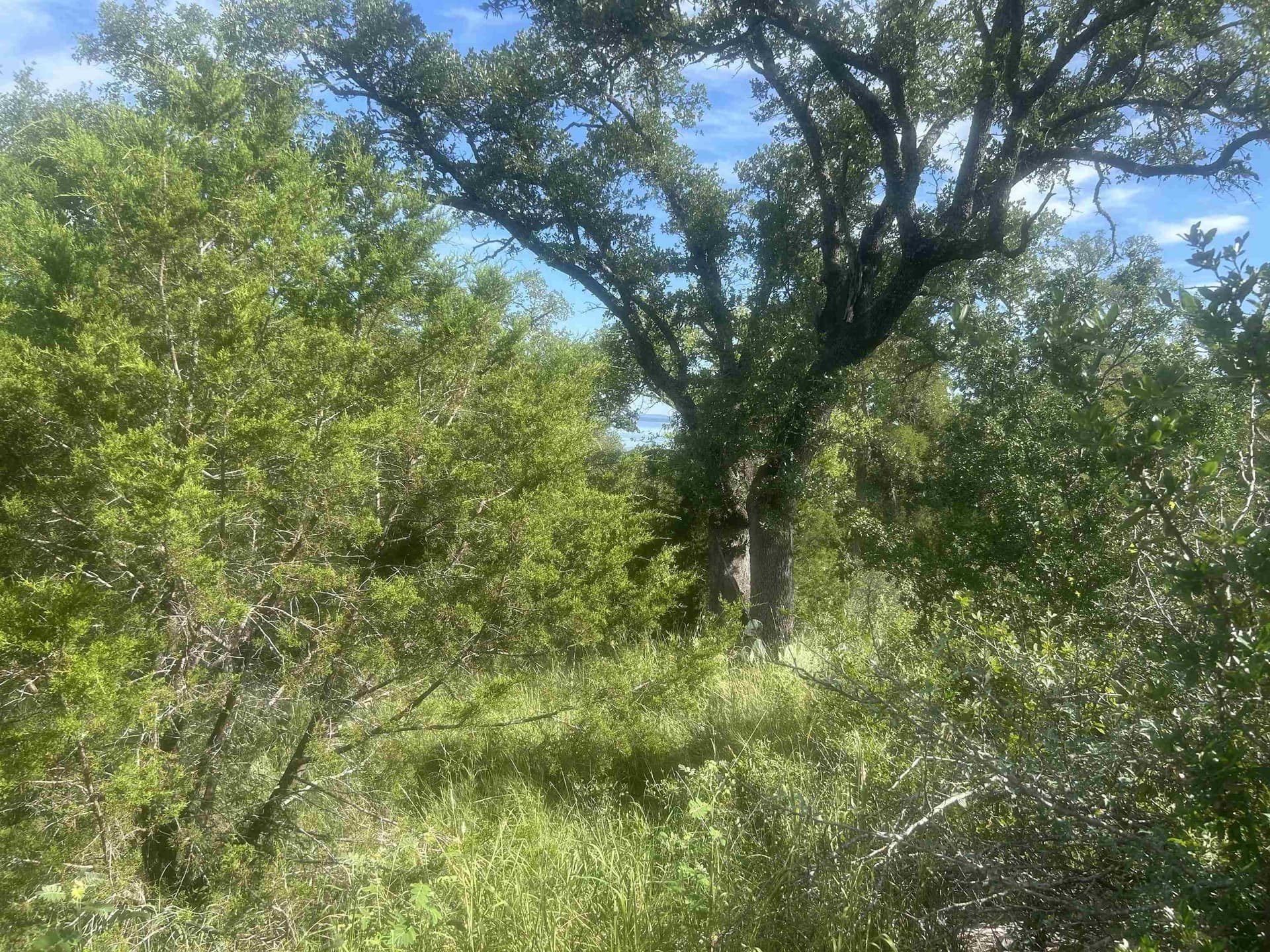 1.14 acres in Llano County - photo 10