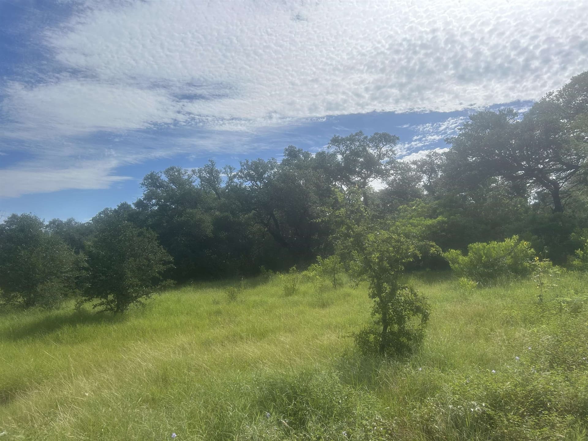 1.14 acres in Llano County - photo 14