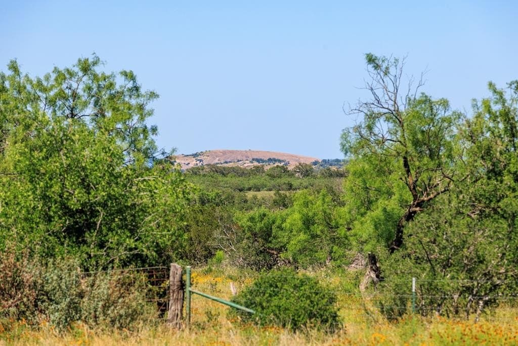 115.92 acres in Gillespie County - photo 31