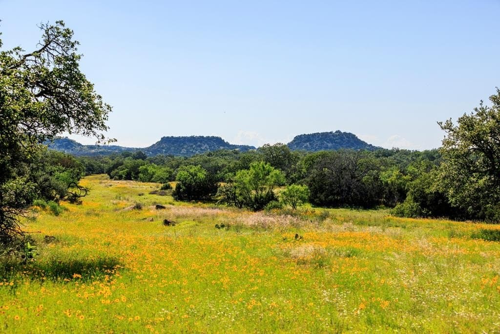 115.92 acres in Gillespie County - photo 41