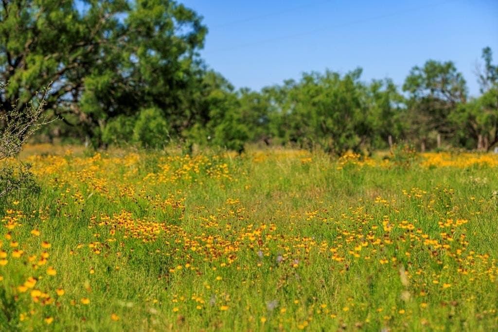 115.92 acres in Gillespie County - photo 35