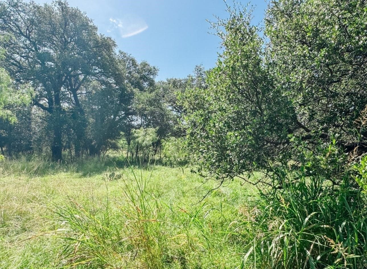 12 acres in Brown County - photo 8