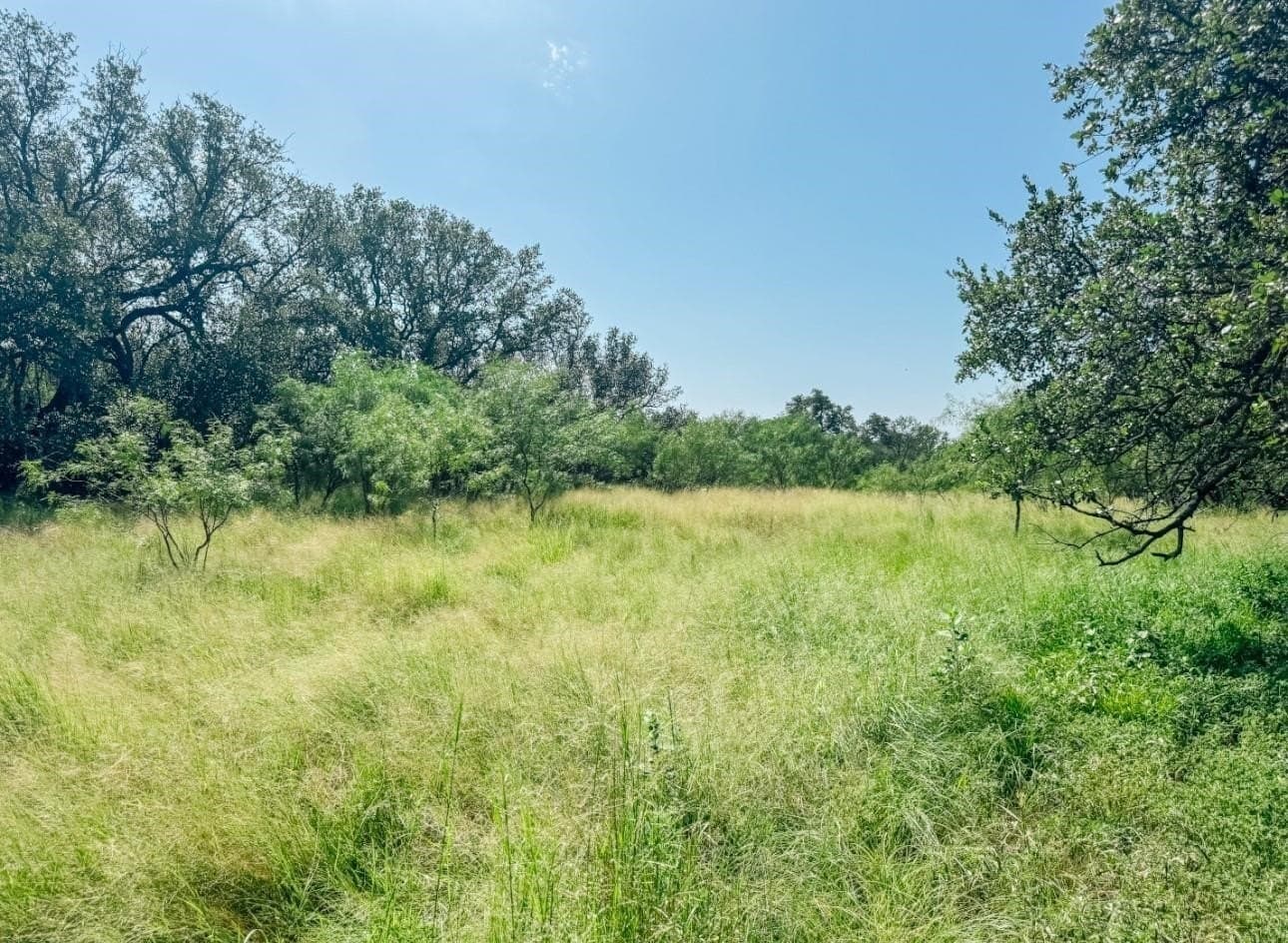 12 acres in Brown County - photo 9