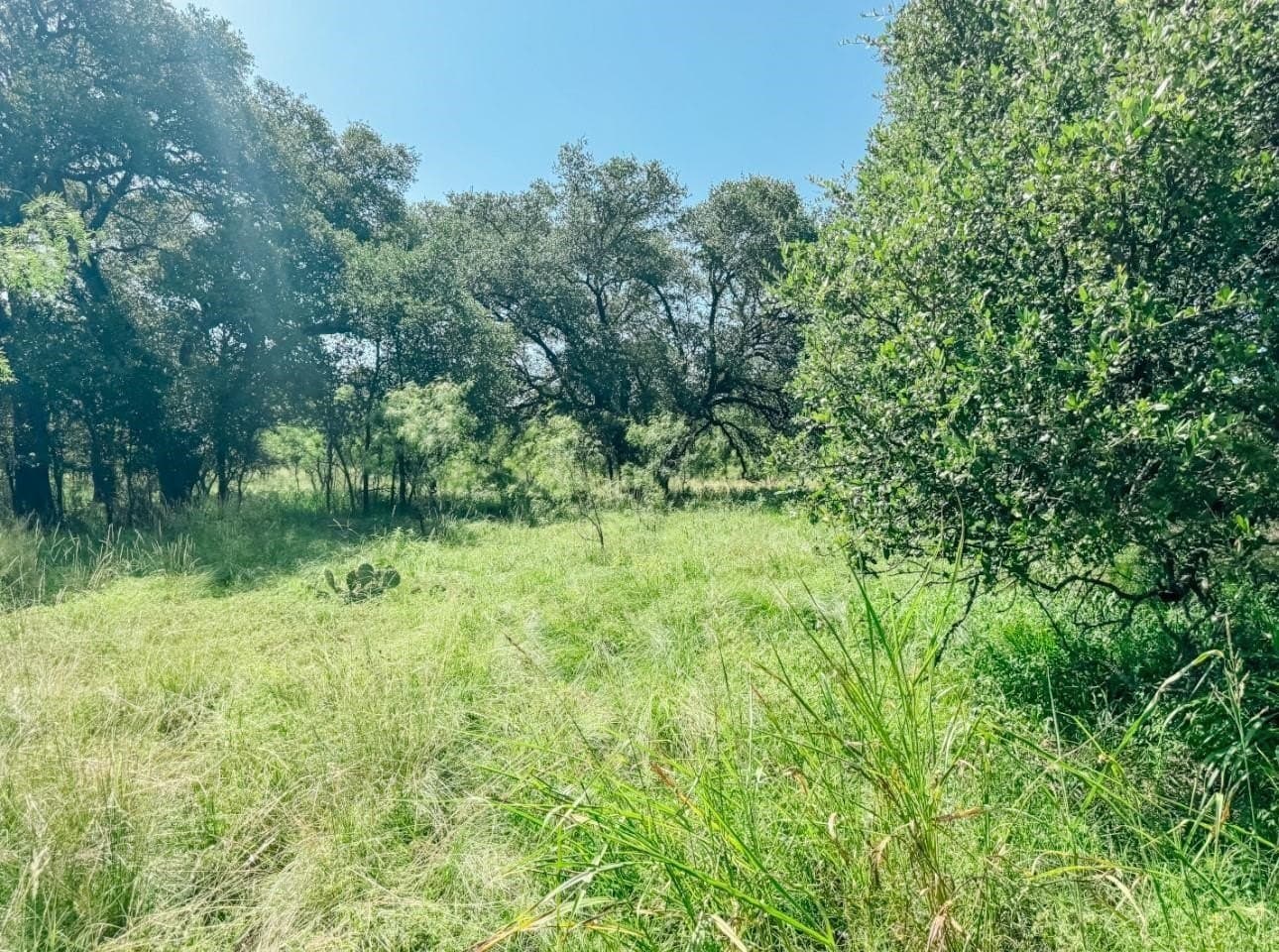 12 acres in Brown County - photo 7