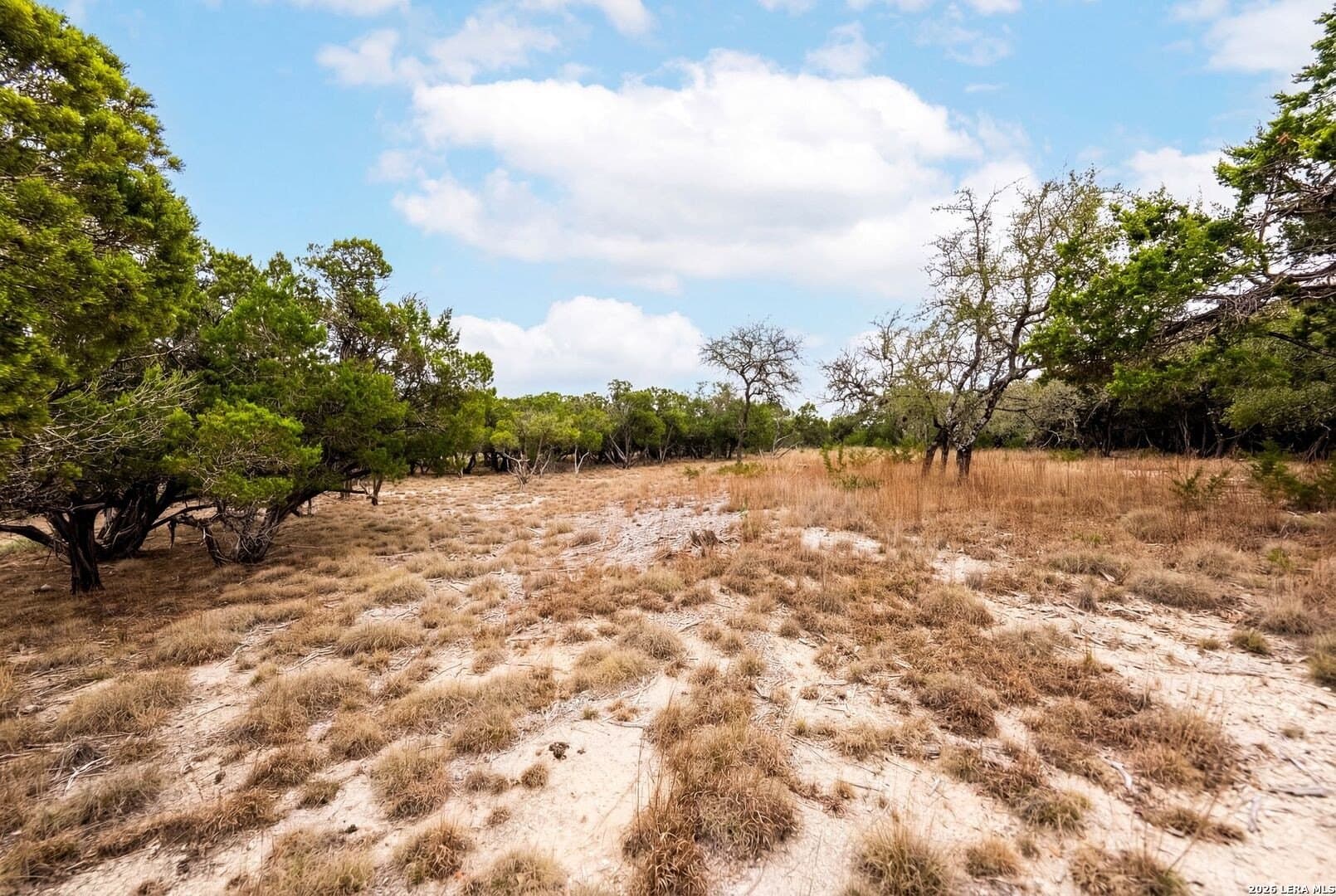 3.95 acres in Kendall County - photo 10