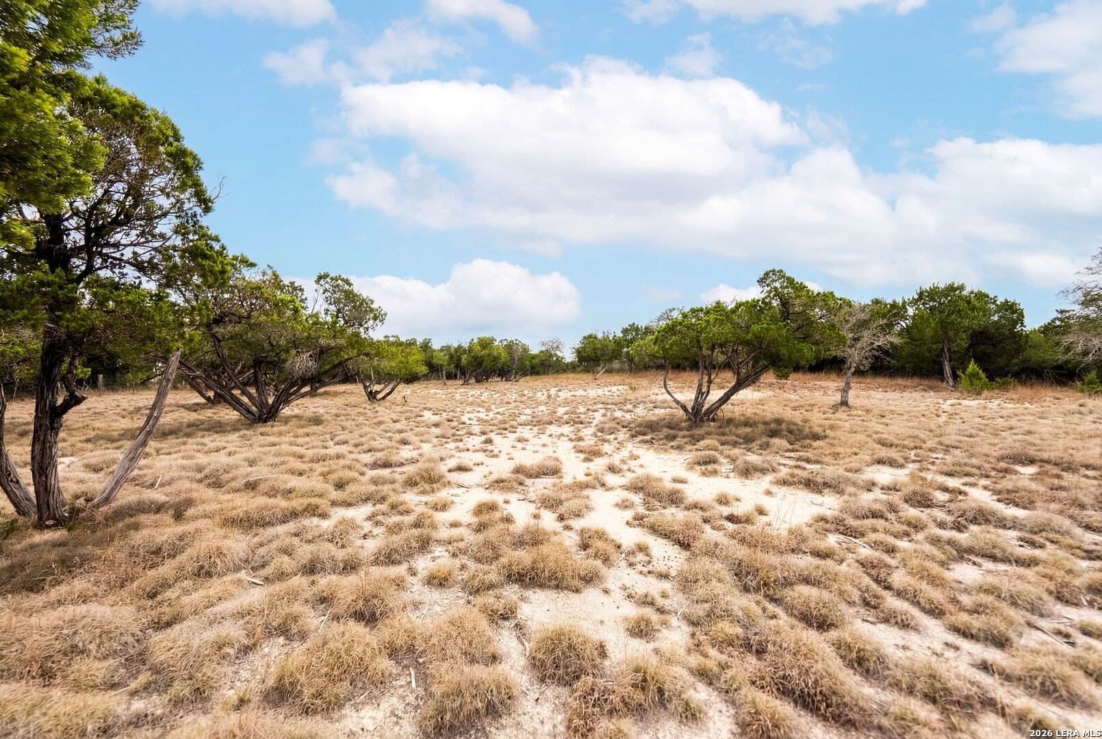 3.95 acres in Kendall County - photo 13