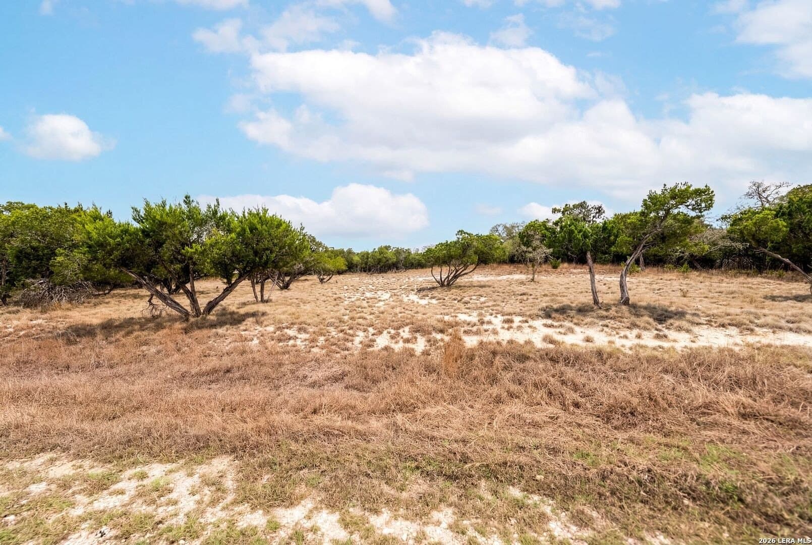 3.95 acres in Kendall County - photo 14