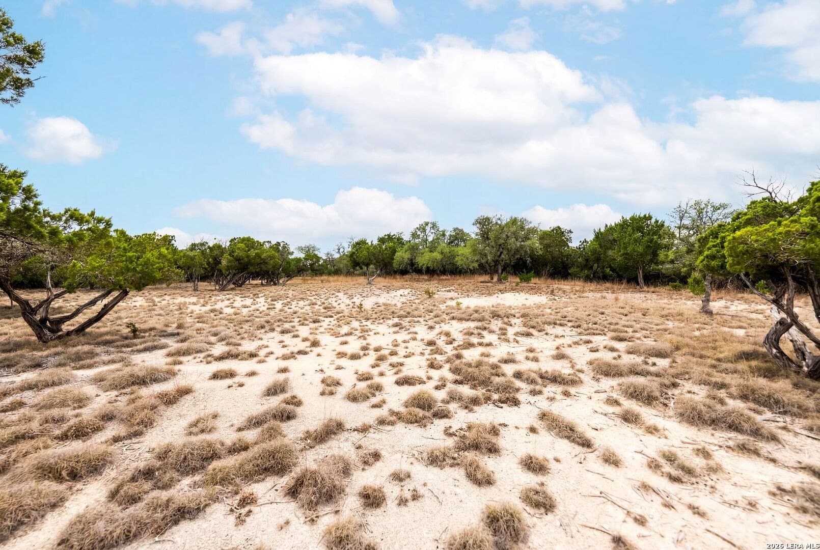 3.95 acres in Kendall County - photo 12