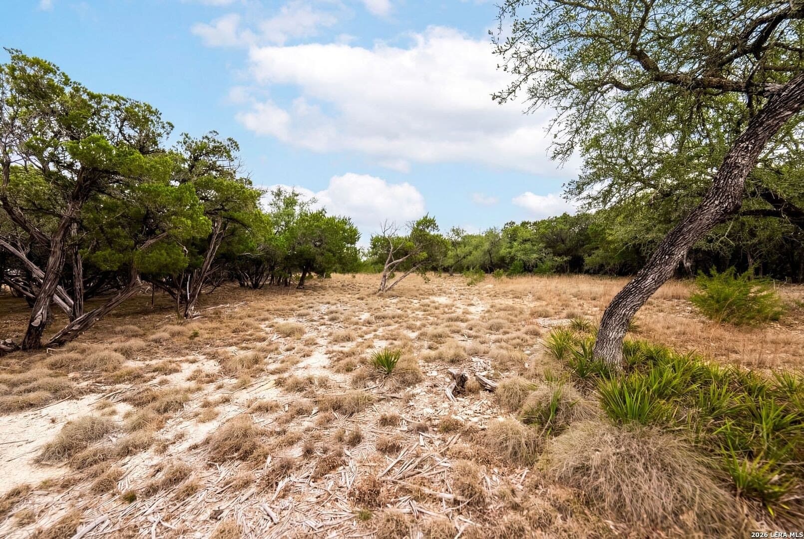 3.95 acres in Kendall County - photo 9