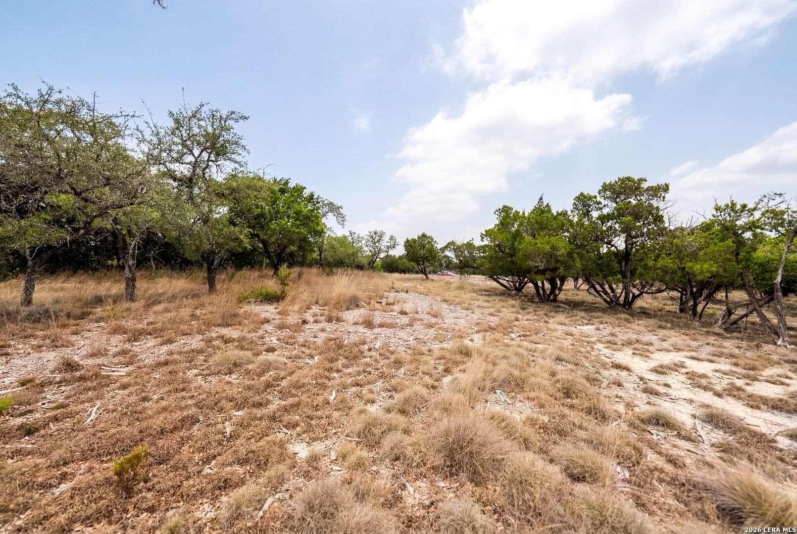 3.95 acres in Kendall County - photo 8