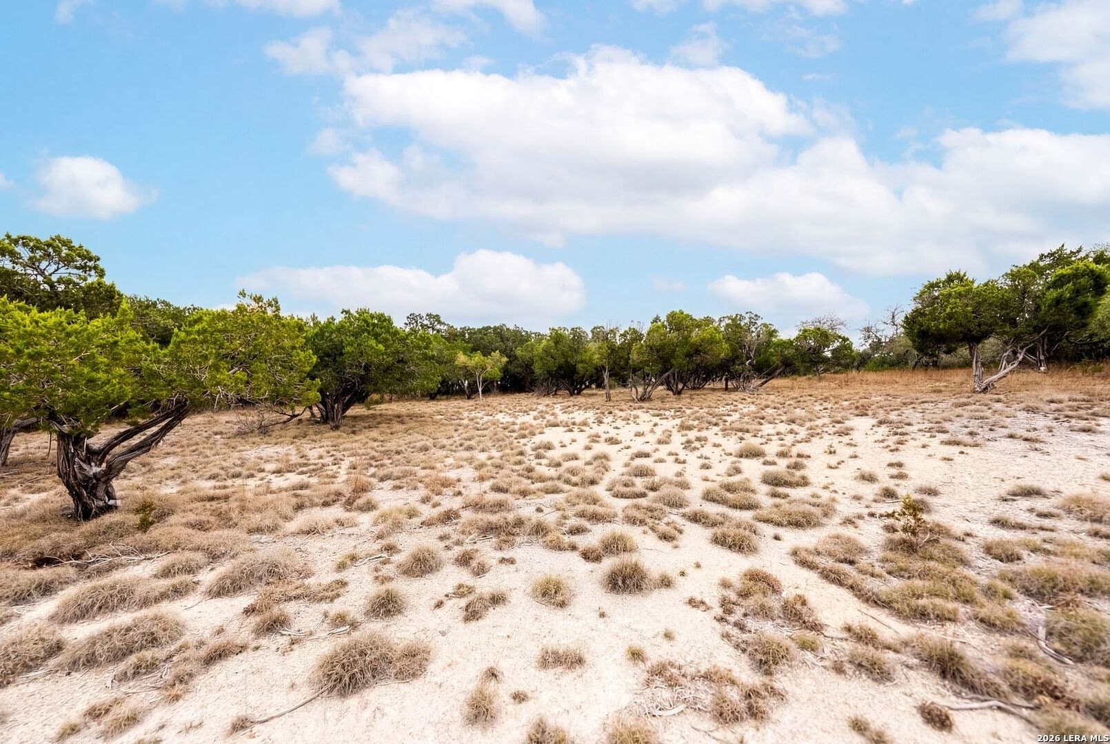 3.95 acres in Kendall County - photo 11