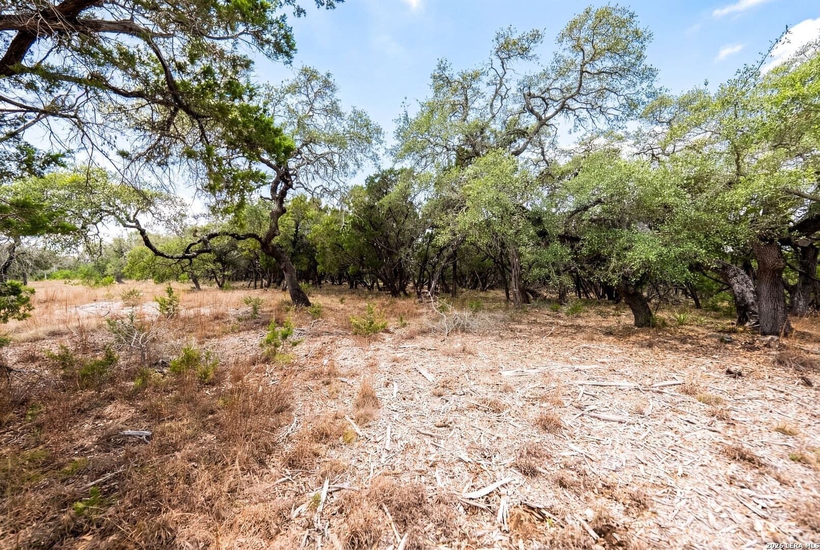 3.95 acres in Kendall County - photo 6