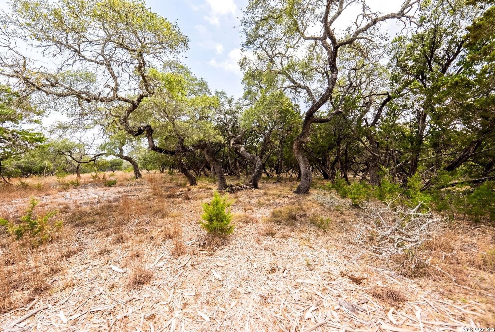 3.95 acres in Kendall County gallery image 4